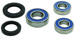 BMW G310GS Wheel Bearing Kit - Rear - All Balls Racing - `18-`21 BMW G310GS Wheel Bearing Kit - Rear - All Balls Racing - `18-`21